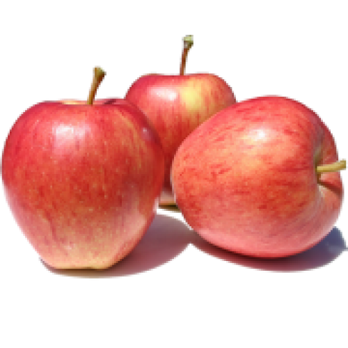 APPLE - ROYAL